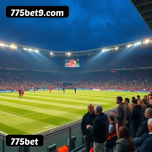 Comparação APP mobile vs versão web da 775bet